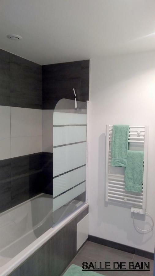 Les Cactus Apartment แซงต์-เอเตียน ภายนอก รูปภาพ